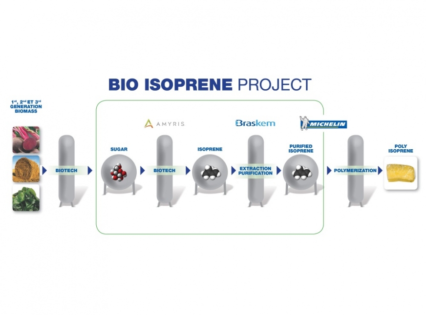 Michelin pracuje nad odnawialnym składnikiem gumy