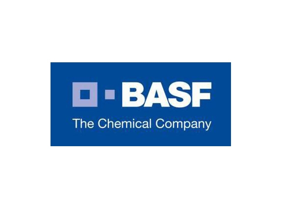 BASF: dach samochodowy z naturalnego włókna