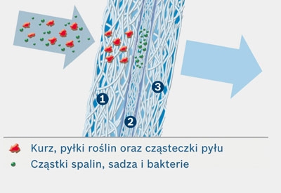 Filtry kabinowe chronią pasażerów pojazdu przed pyłkami roślin, kurzem i spalinami