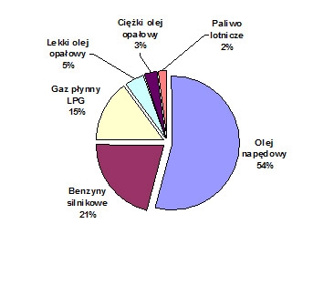 RYNEK PALIW 2010 – RAPORT