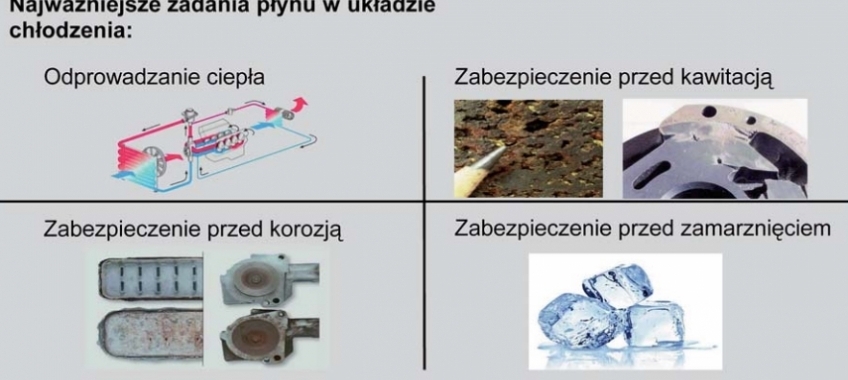 Dobry płyn zamiast kłopotów – przeciekające tuleje cylindrów