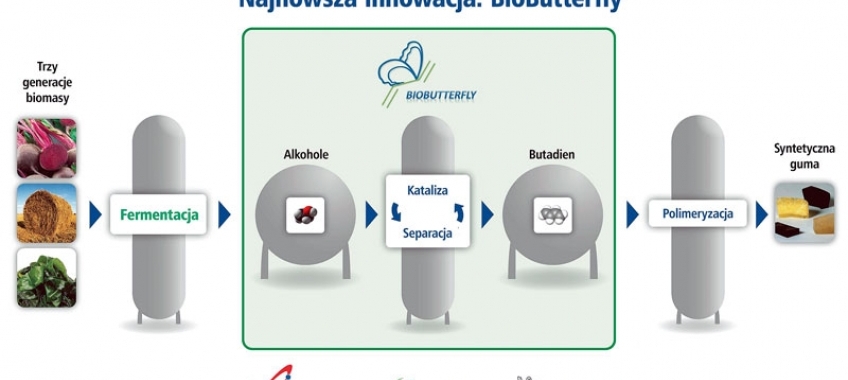 Michelin pracuje nad gumą z biomasy