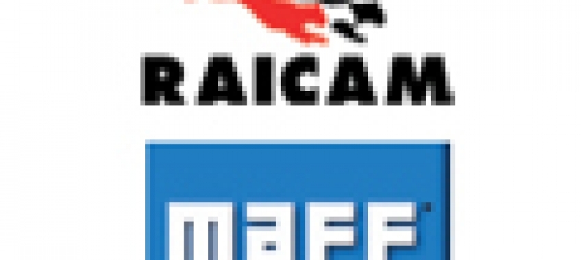 Klocki i szczęki hamulcowe Raicam
