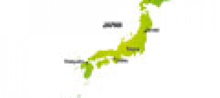 Czy polscy kierowcy odczują skutki kataklizmu w Japonii?