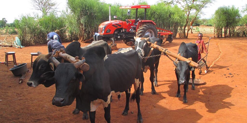 URSUS dostarczy ciągniki, maszyny rolnicze i części do Zambii w Afryce