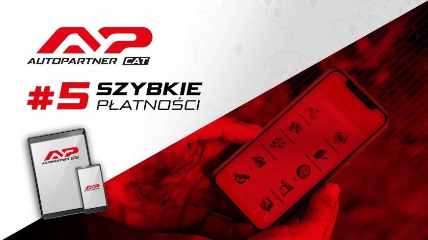 Elektroniczny katalog APCAT - jak działają szybkie płatności?