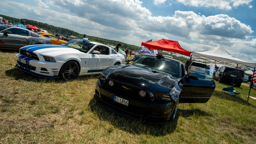 Ford na American Cars Mania 2024