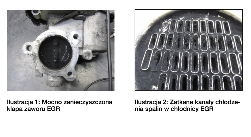 Na to trzeba uważać podczas wymiany chłodnicy i zaworu EGR?