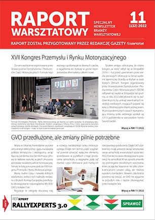 Raport Warsztatowy 11(132)/2022